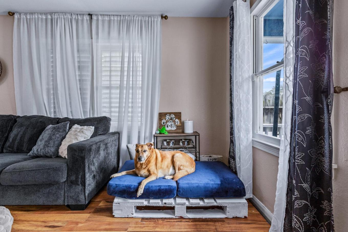 The Blue Oasis With Handicap Ramp Access Dog Friendly & Cowboy Pool Galveston Eksteriør billede